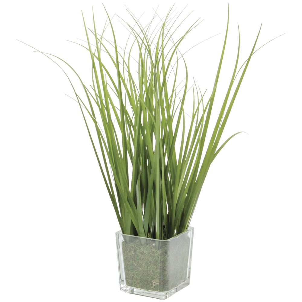 GRASS, FAUX IN GLASS VASE 15"H GREEN