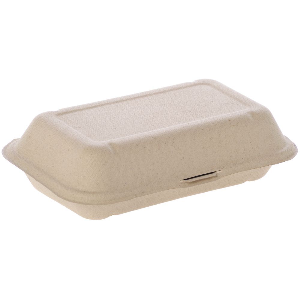 Large 3-Section Clear Polystyrene Hinged Carryout Container - 9 1/2L x 9  1/2W x 3H