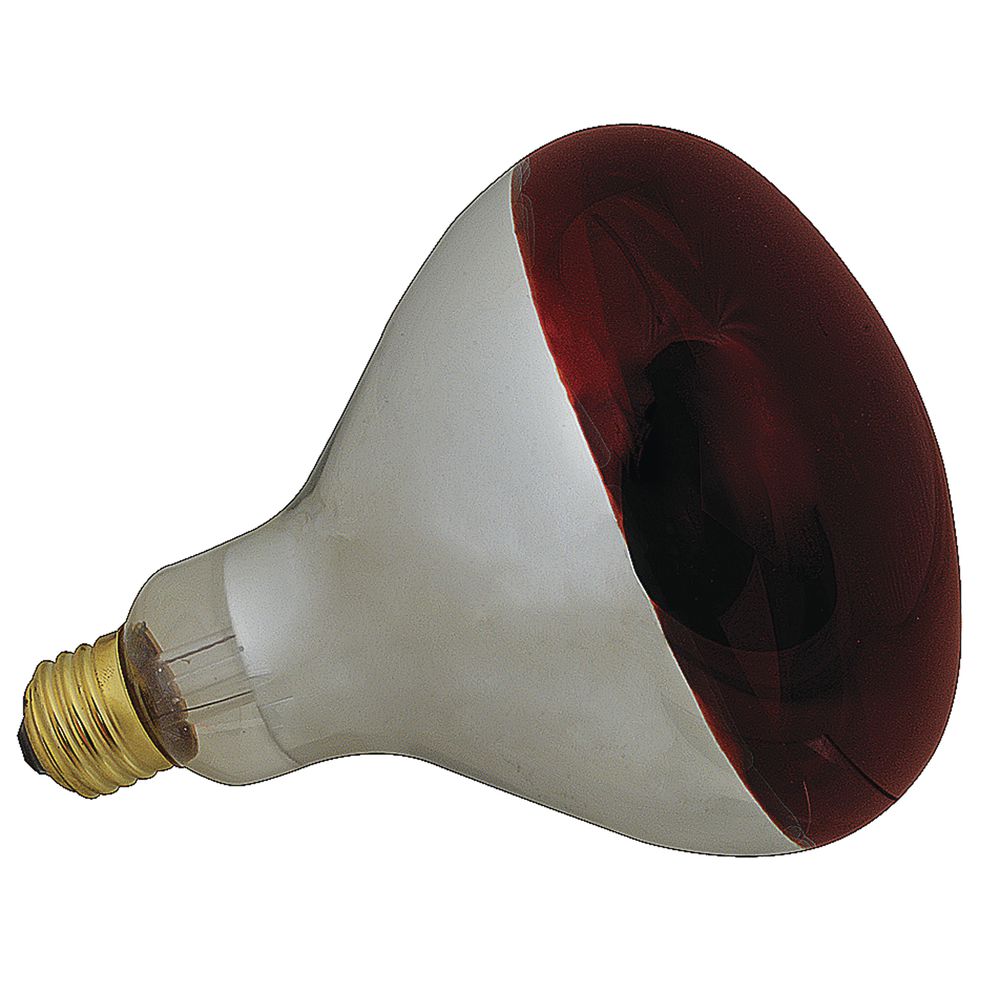 FMP 2531122 Red Glass 250 Watt Uncoated Food Warming Bulb