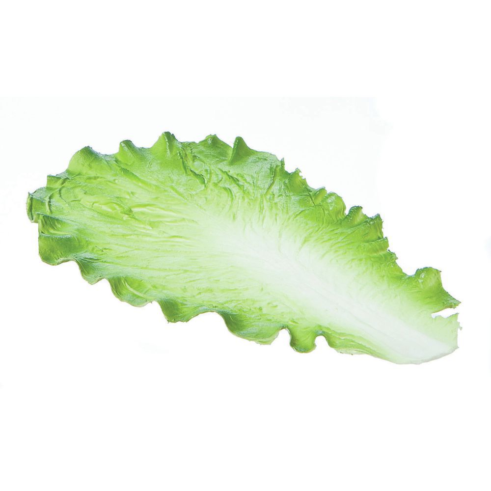 lettuce leaf