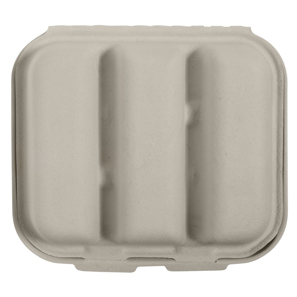Naturezway Pro Compostable 9 x 9 x 3.2 Take-Out Containers - 200 per Case