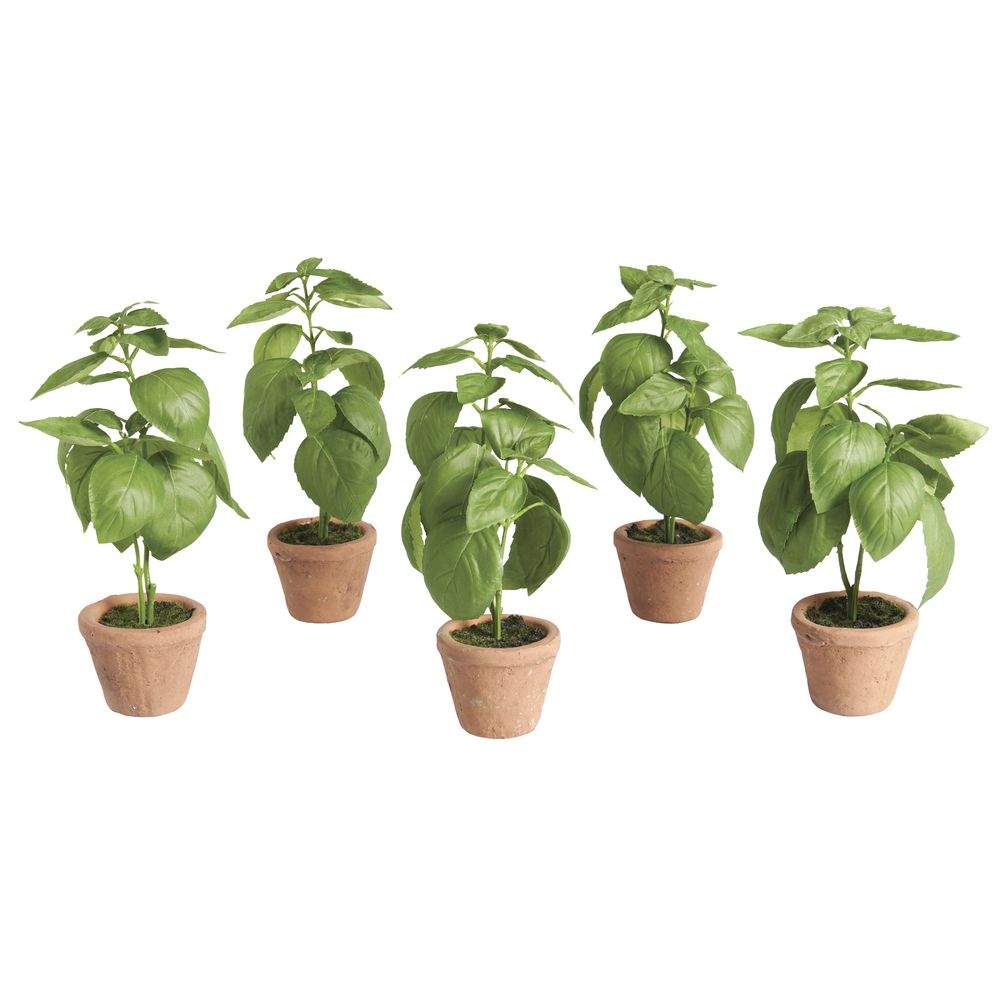 Park Hill Faux Basil Plant in Window Sill Pot 6 1 2