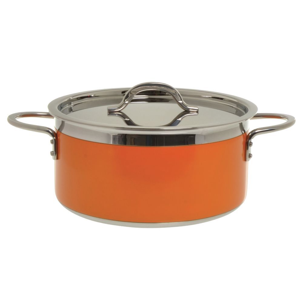 Bon Chef 5-Ply Classic Country French Collection 5 7/10 qt Orange Stainless  Steel Pot with Cover - 10 1/8Dia x 4 5/8H