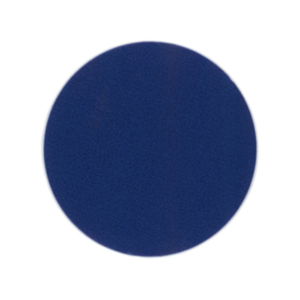 Blue Colored Rotation Dot Labels - 3/4Dia
