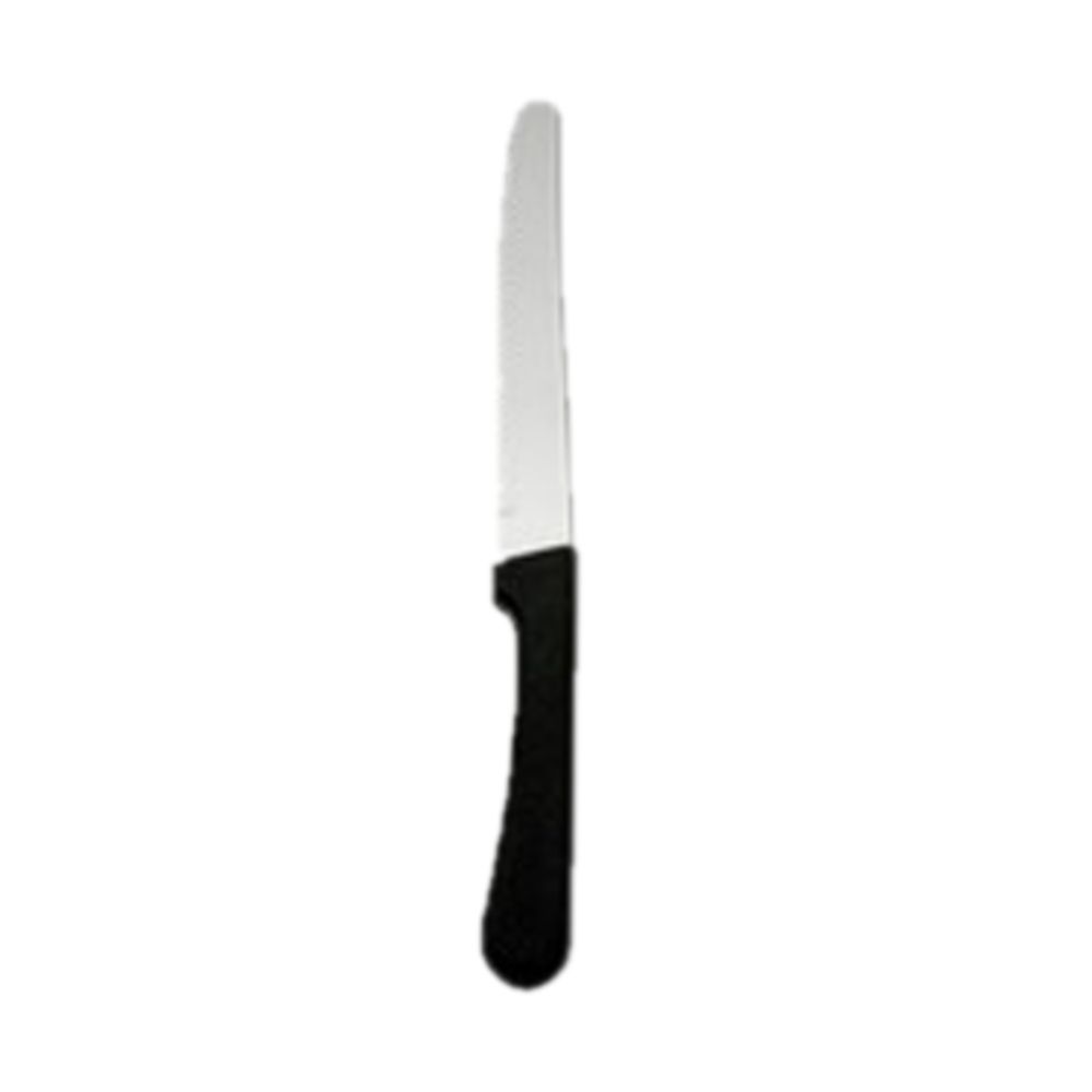 Oneida Knife, Steak, 8.75, Steak Knives,12/BX