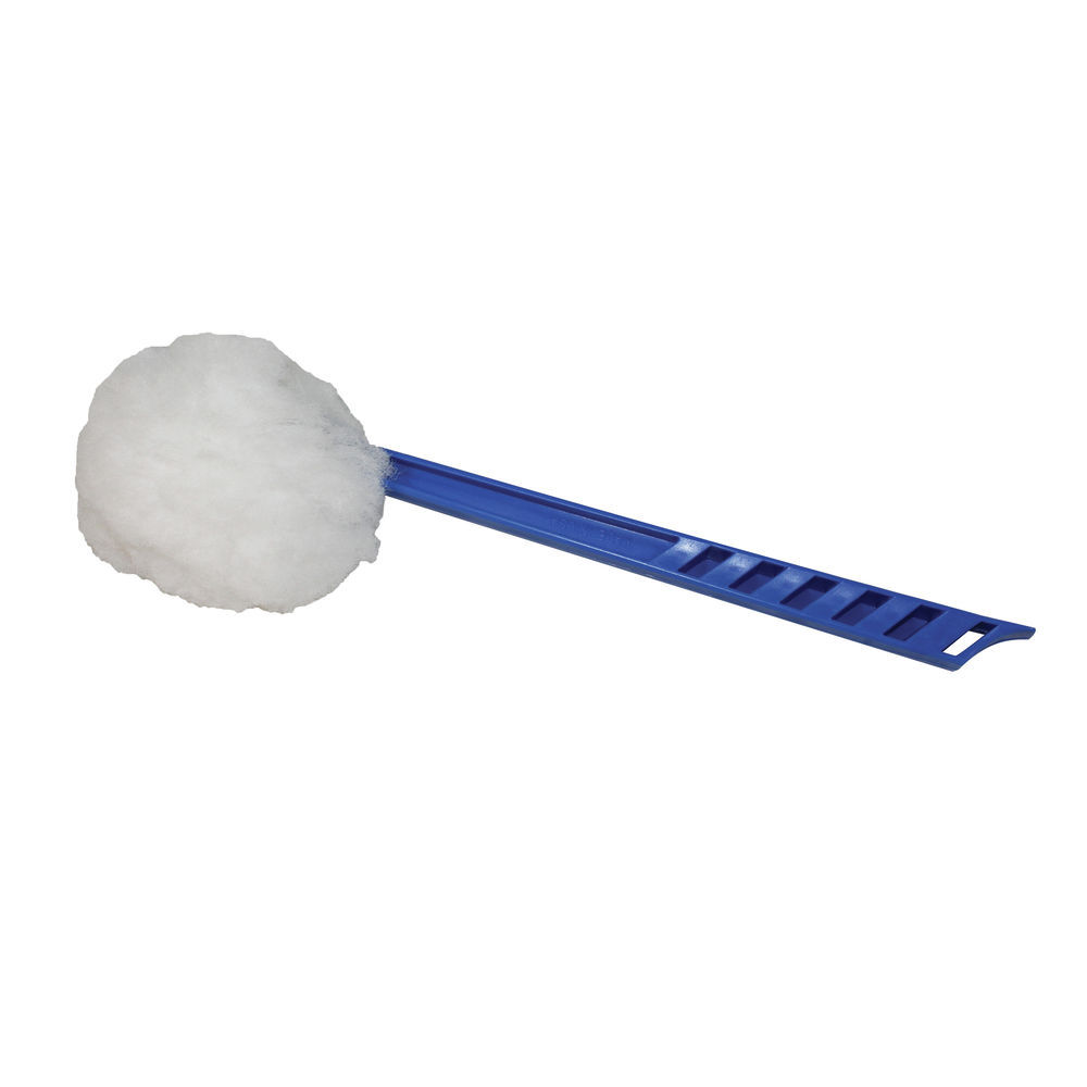 toilet mop