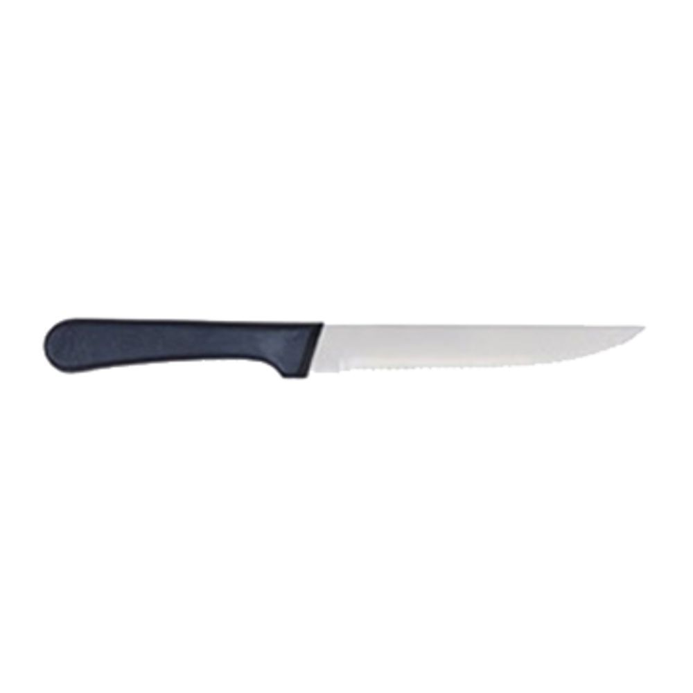 Steak Knife, Stainless Steel With Plastic Handle, Pointed Tip (50 Dozen/Unit)