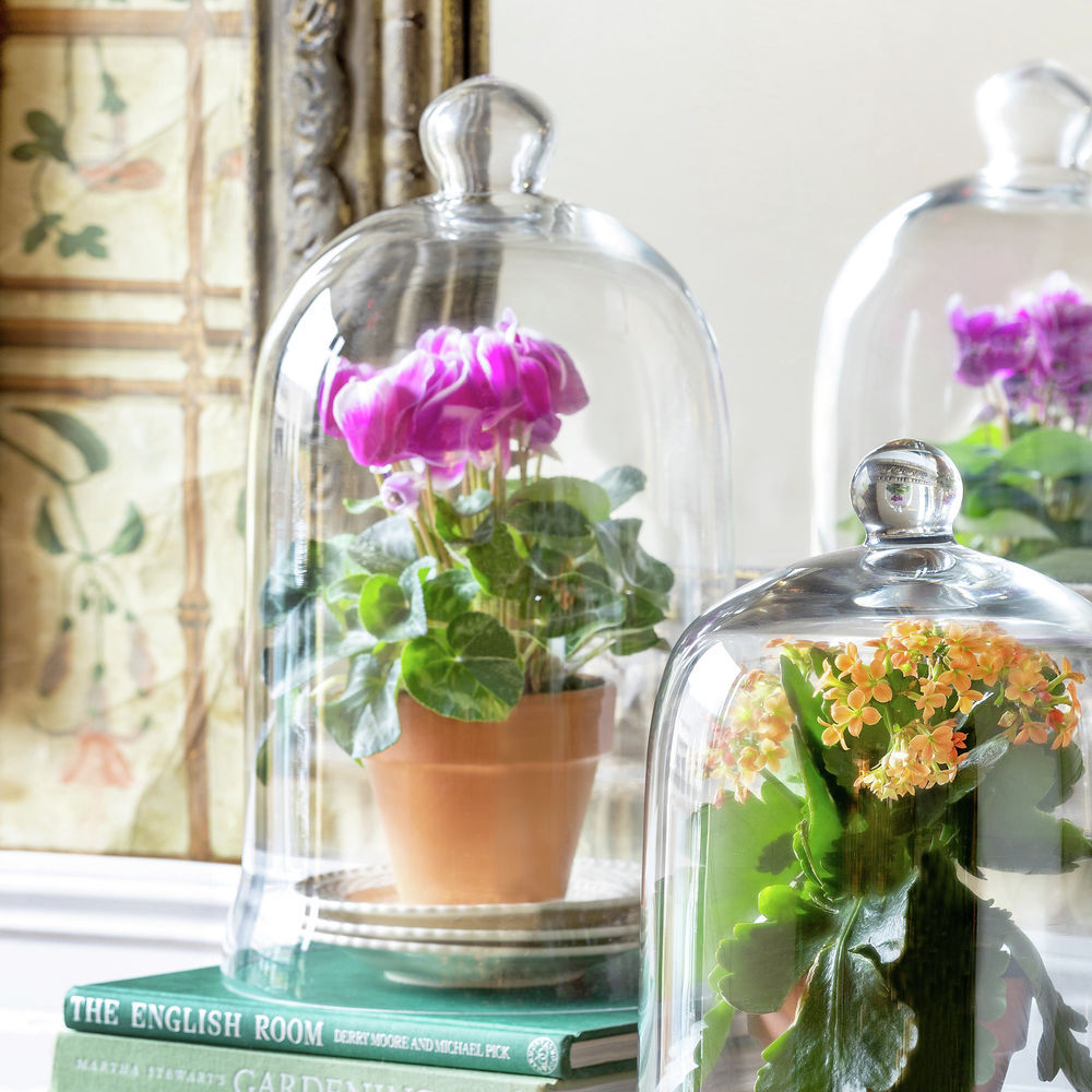 Candle Cover Bell Jar | Park Hill