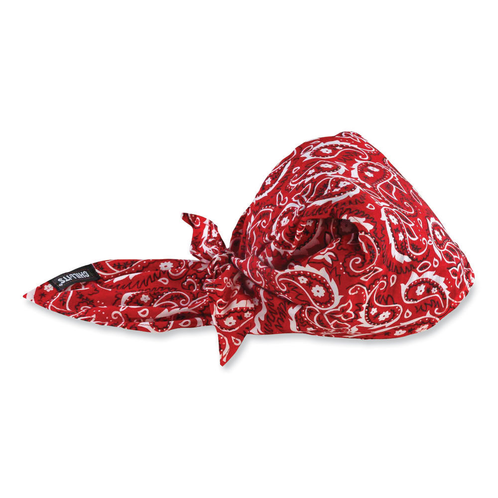 ergodyne Chill-Its 6710 Cooling Embedded Polymers Tie Bandana Triangle ...