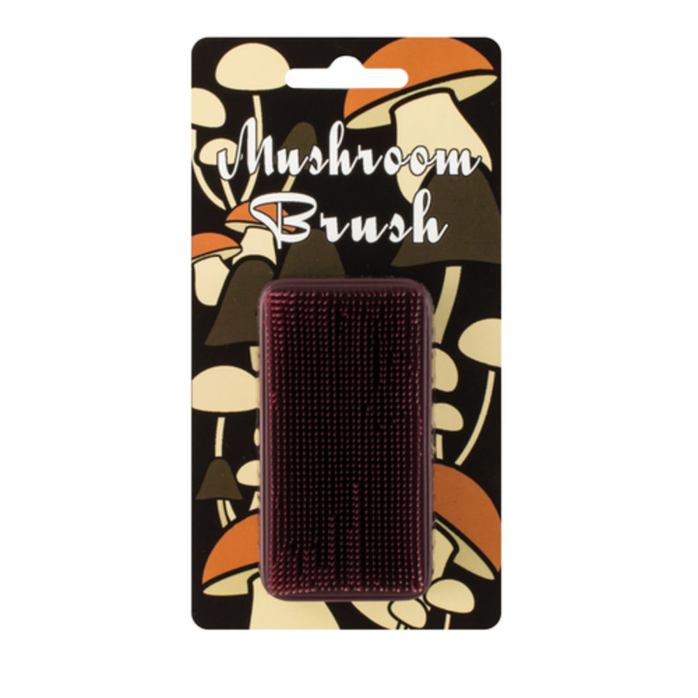 HIC Kitchen Brush, Mushroom