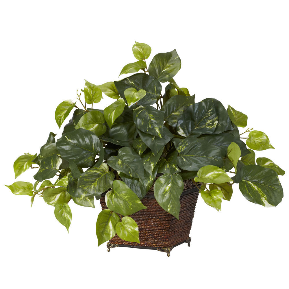 Nearly Natural Pothos Ledge Plant (Set on Foam) Silk Plant