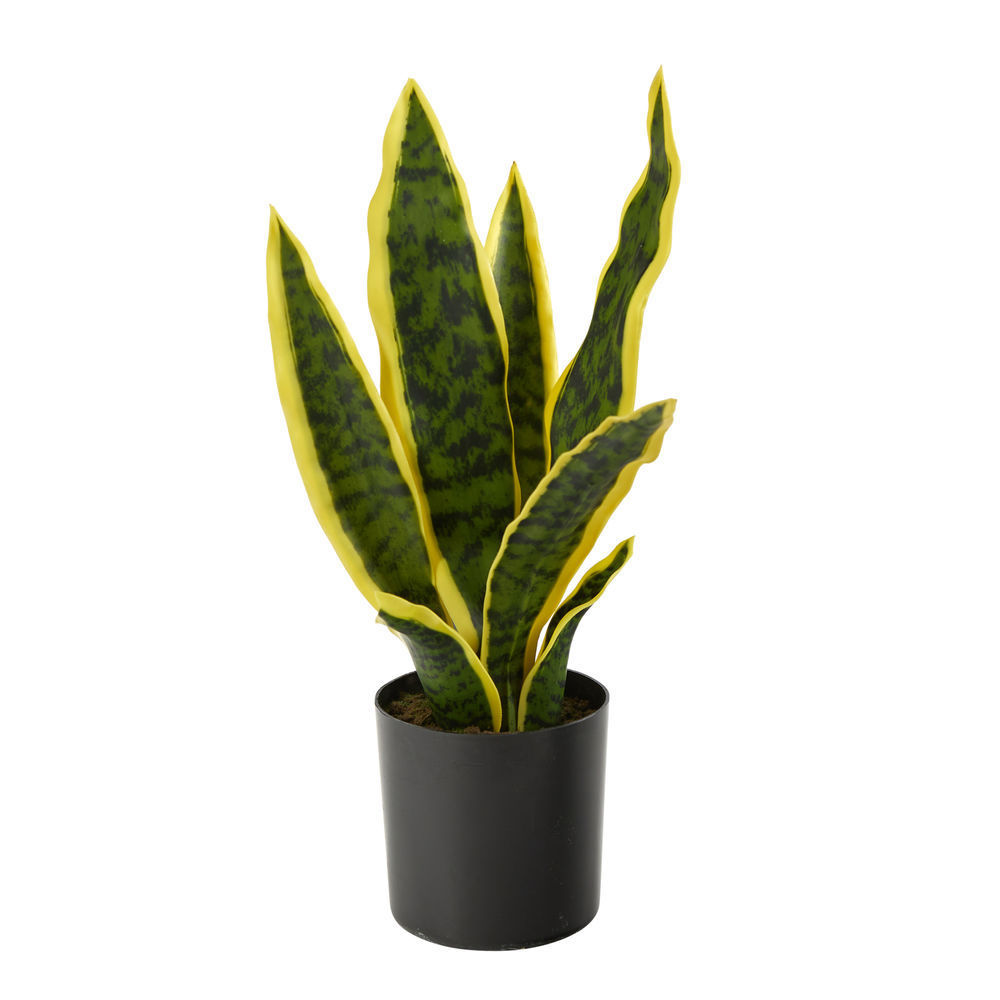 Nearly Natural 14 in. Sansevieria Artificial Plant