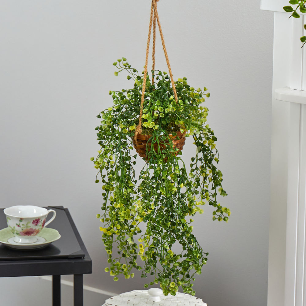 Nearly Natural 20 in. Baby Tear Artificial Plant in Hanging Basket