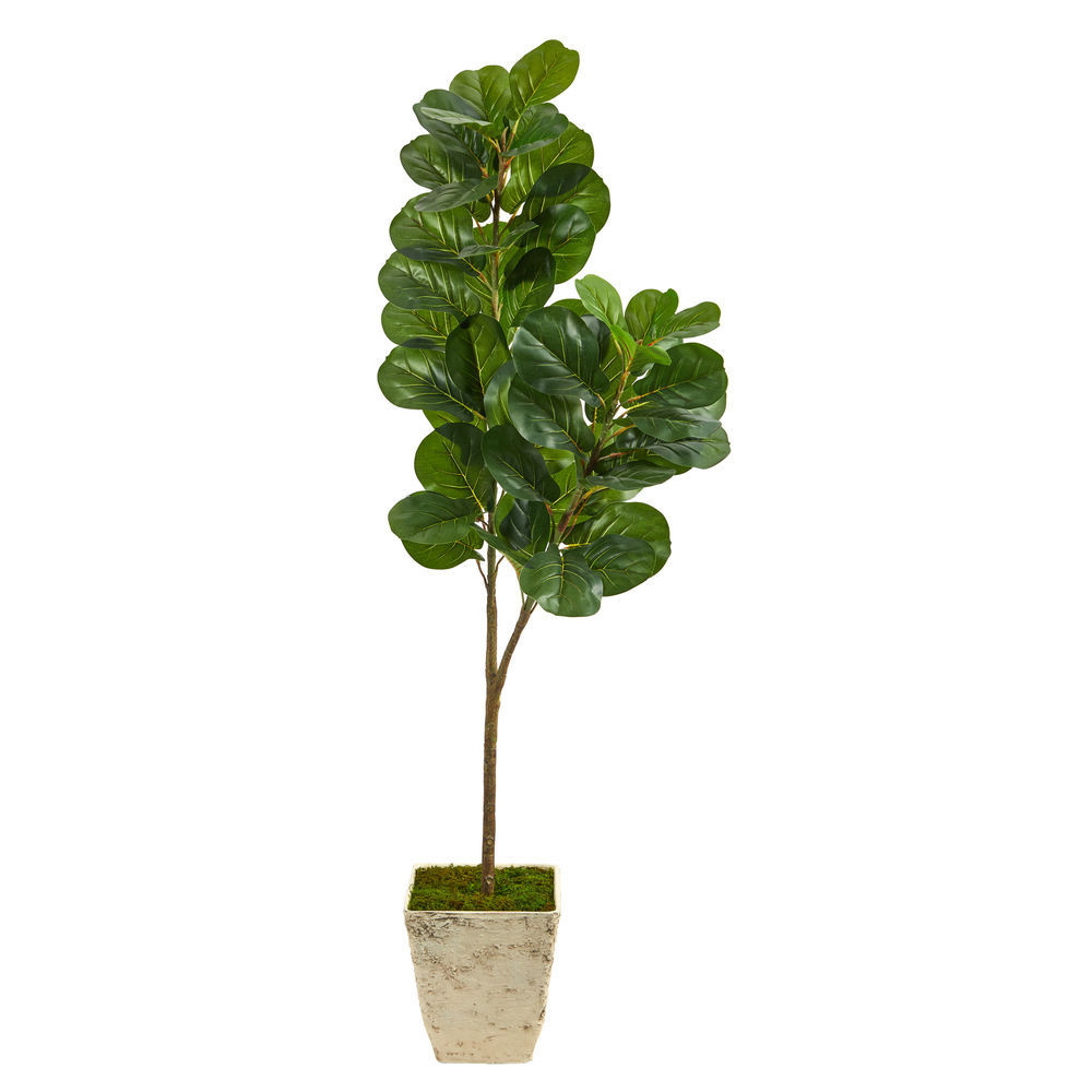 Natural 5.5 Ft. Fiddle leaf Artificial Tree in Country White