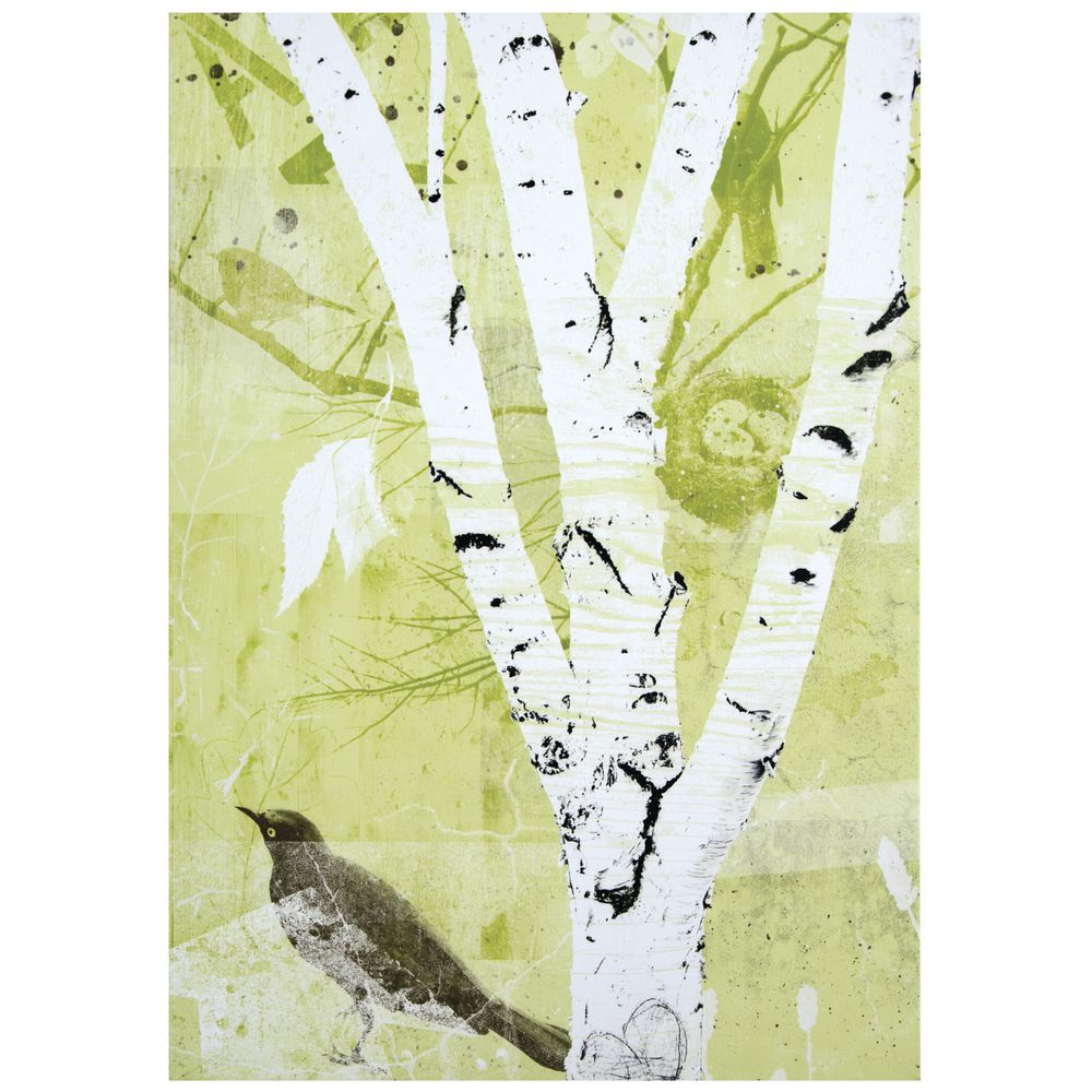 birch tree framed canvas