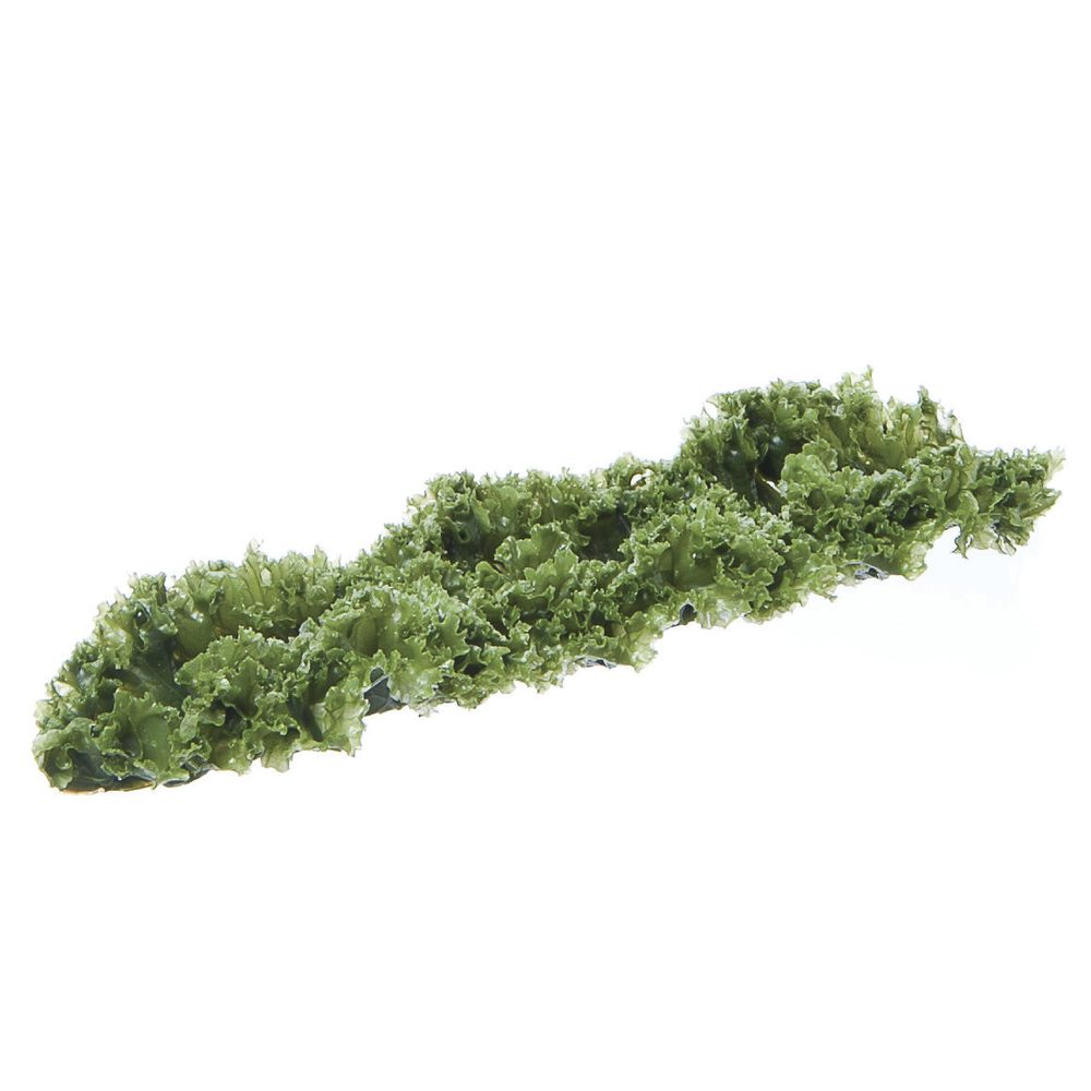Fake Kale is 12 Inches Long