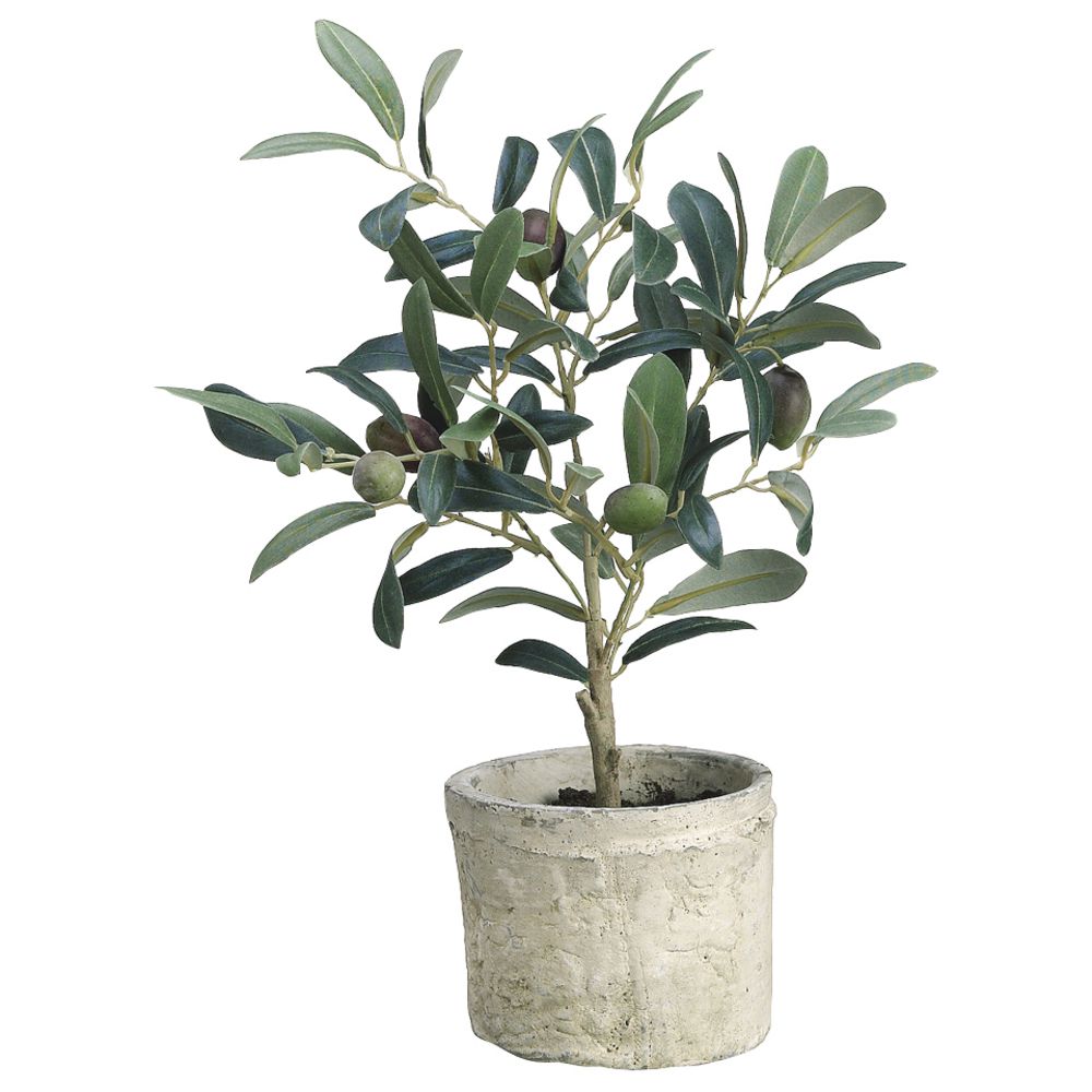 Artificial Olive Tree in Pot 12H