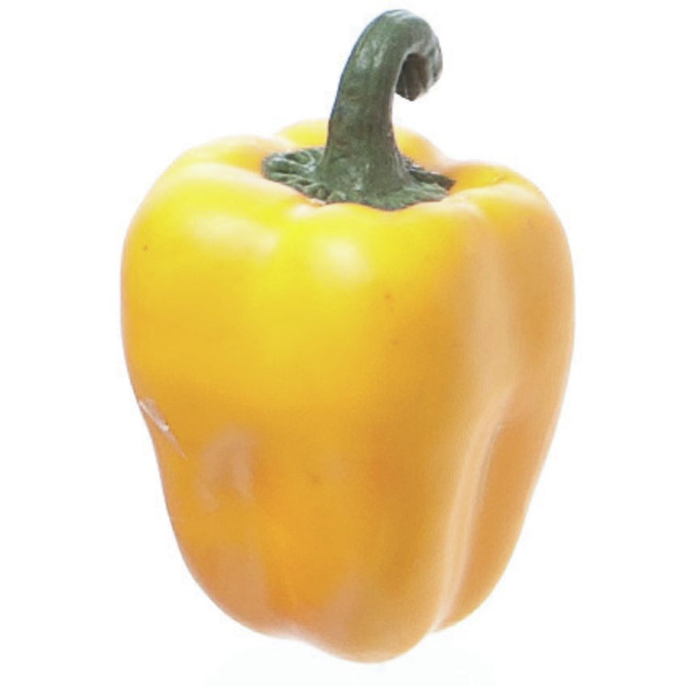 BELL PEPPER, WEIGHTED, YELLOW, 3.5"